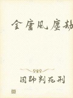 金庸风尘劫