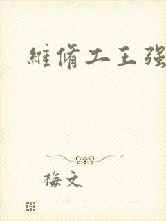 维修工王强张婷