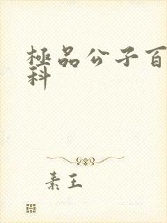 极品公子百度百科