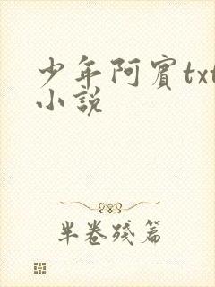 少年阿宾txt小说