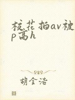 校花拍av被np高h