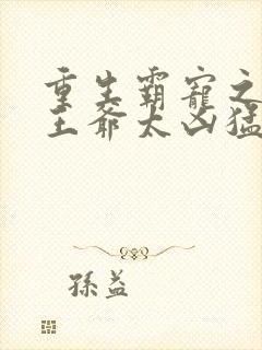 重生霸宠之摄政王爷太凶猛