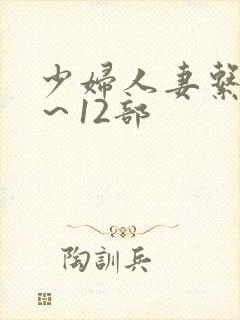 少妇人妻系列1～12部