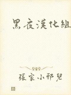 黑夜汉化组