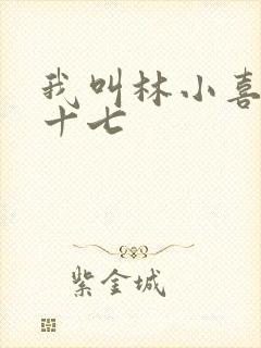 我叫林小喜今年十七