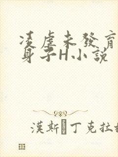 凌虐未发育的小身子H小说