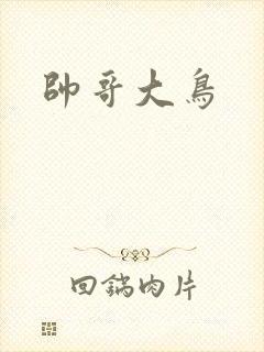 帅哥大鸟