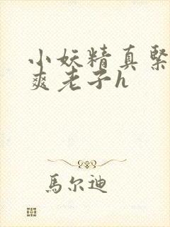 小妖精真紧h嘶爽老子h封面