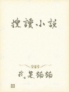 搜读小说