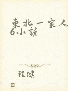 东北一家人1一6小说