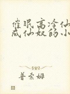 催眠高冷仙奴变成仙奴的小说