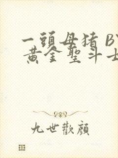 一头母猪 BY 黄金圣斗士