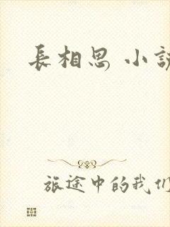 长相思 小说