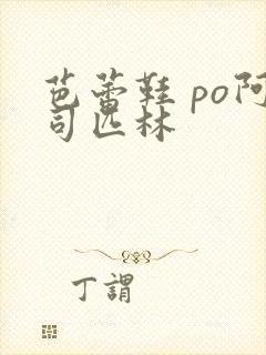 芭蕾鞋 po阿司匹林