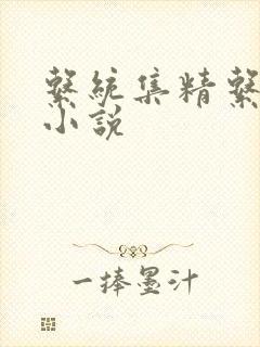 系统集精系统 小说