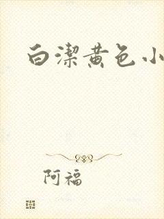 白洁黄色小说