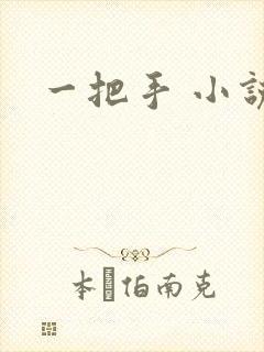 一把手 小说