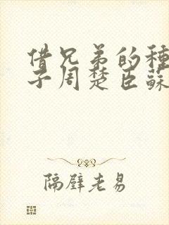 借兄弟的种生孩子周楚臣苏糖