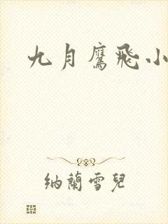 九月鹰飞小说