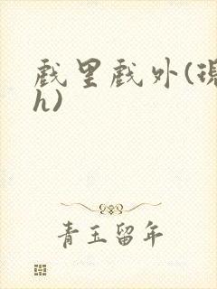 戏里戏外(现场h)