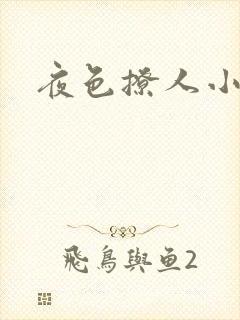 夜色撩人小说