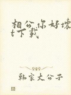 相公你好坏txt下载