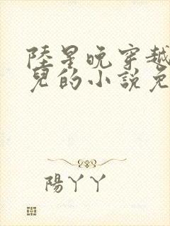 陆星晚穿越成婴儿的小说免费阅读全文