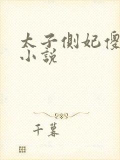 太子侧妃傻乎乎小说