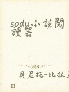 sodu小说阅读器