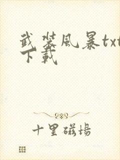 武装风暴txt下载