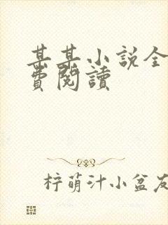 某某小说全文免费阅读