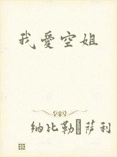 我爱空姐