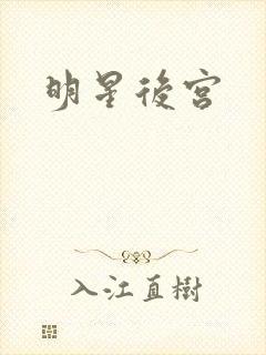明星后宫