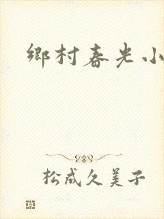 乡村春光小说