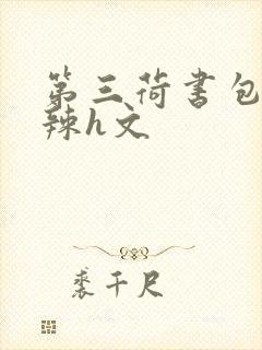 第三荷书包网高辣h文封面