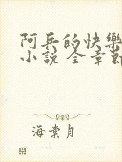 阿兵的快乐生活小说 全章节阅读免费