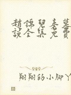 赵锦儿秦慕修小说全集免费