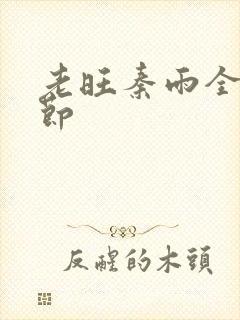 老旺秦雨全部章节