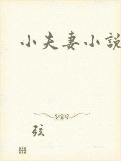 小夫妻小说