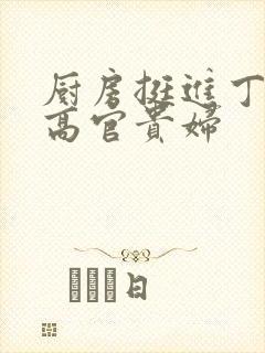 厨房挺进丁字裤高官贵妇封面