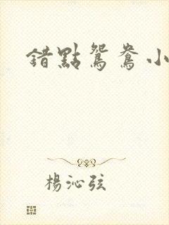 错点鸳鸯小说