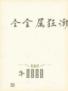 全金属狂潮小说