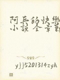 阿兵的快乐生活小说 全章节阅读免费