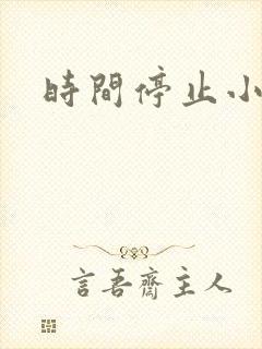 时间停止小说