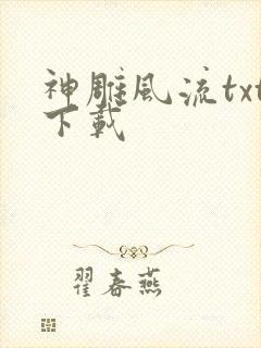 神雕风流txt下载