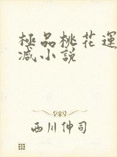 极品桃花运未删减小说