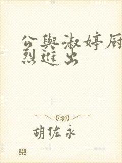 《公与淑婷厨房猛烈进出》小说封面