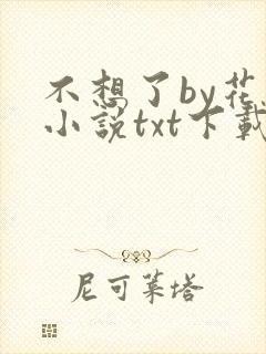 不想了by花卷小说txt下载
