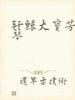 轩辕大宝芳菲雅琴封面