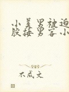 《小美男被迫卖屁股接男客小说》小说封面